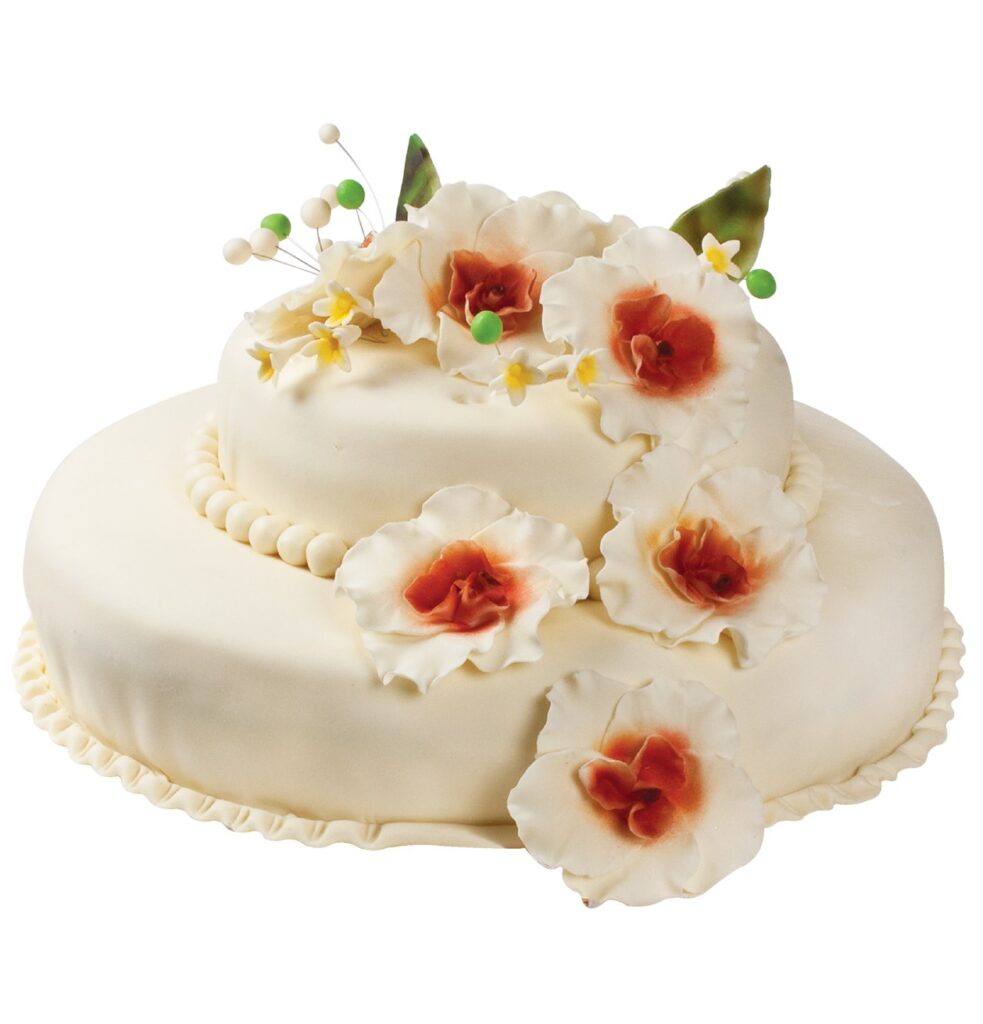 EN GÜZEL NİŞAN PASTASI MODELLERİ!