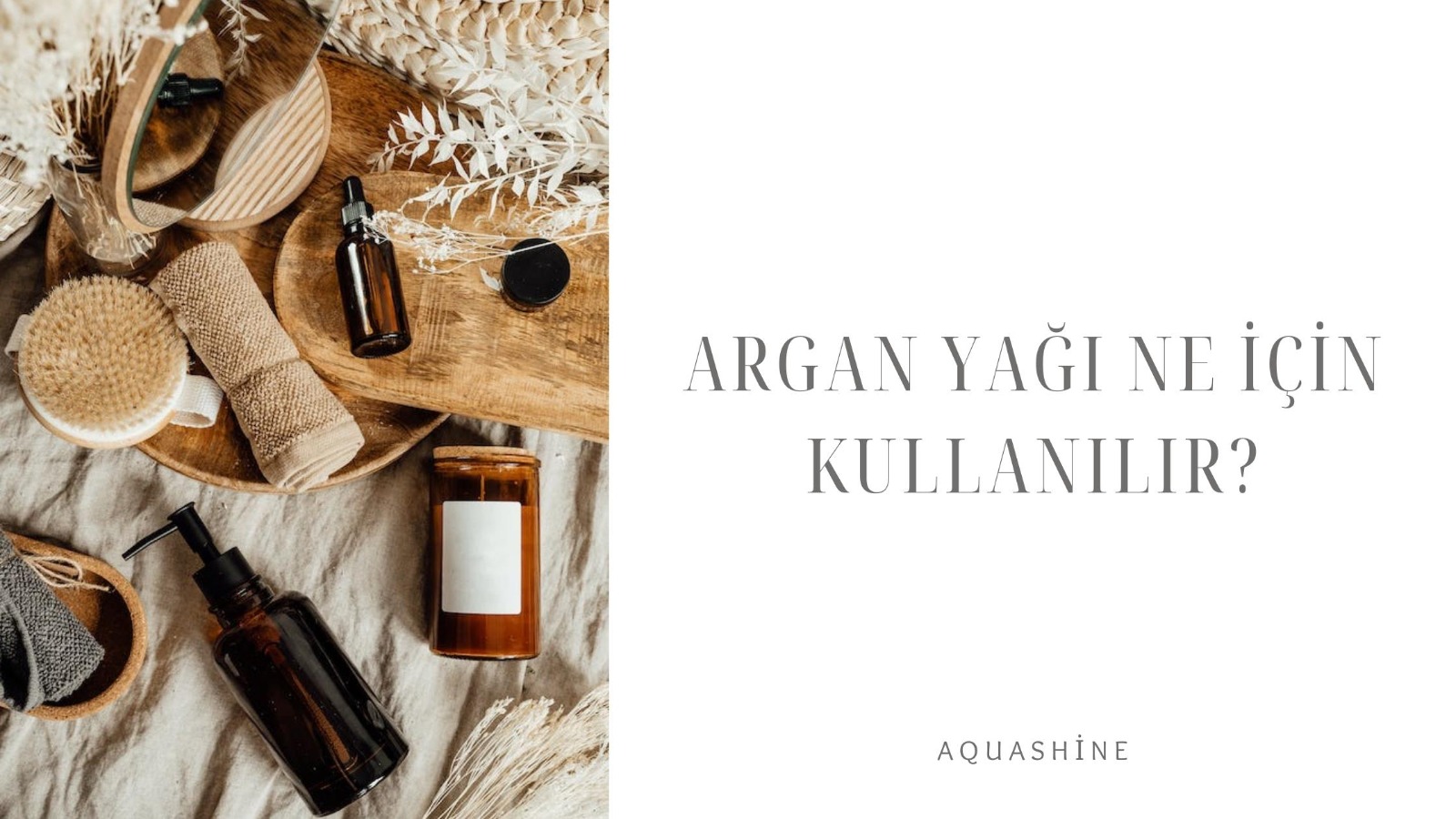 Argan Yağı Ne İşe Yarar?