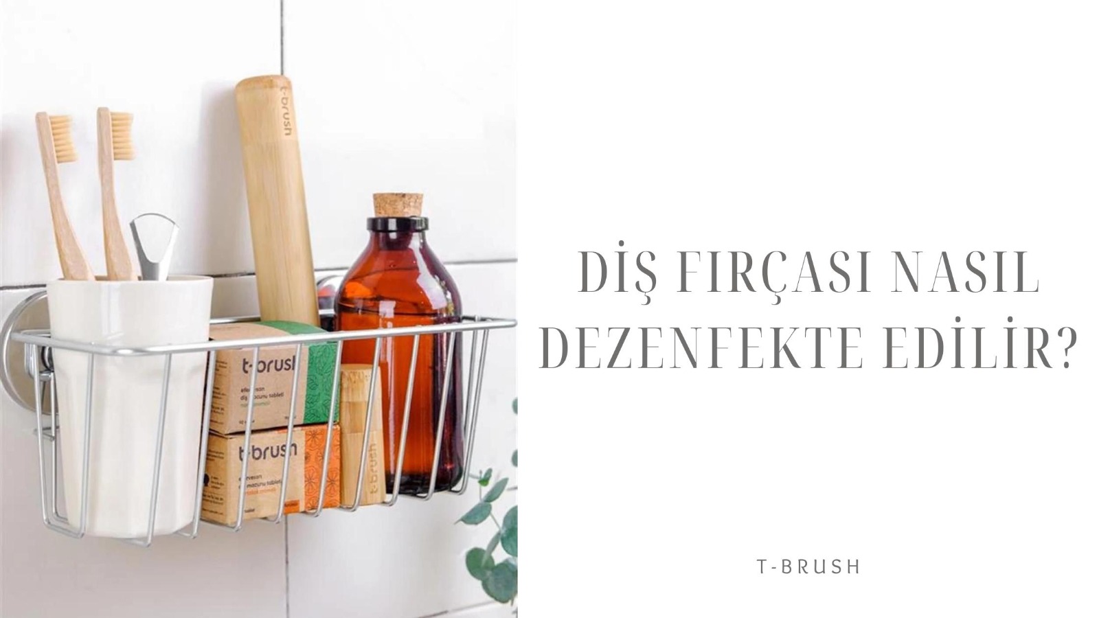 Diş Fırçası Nasıl Dezenfekte Edilir?