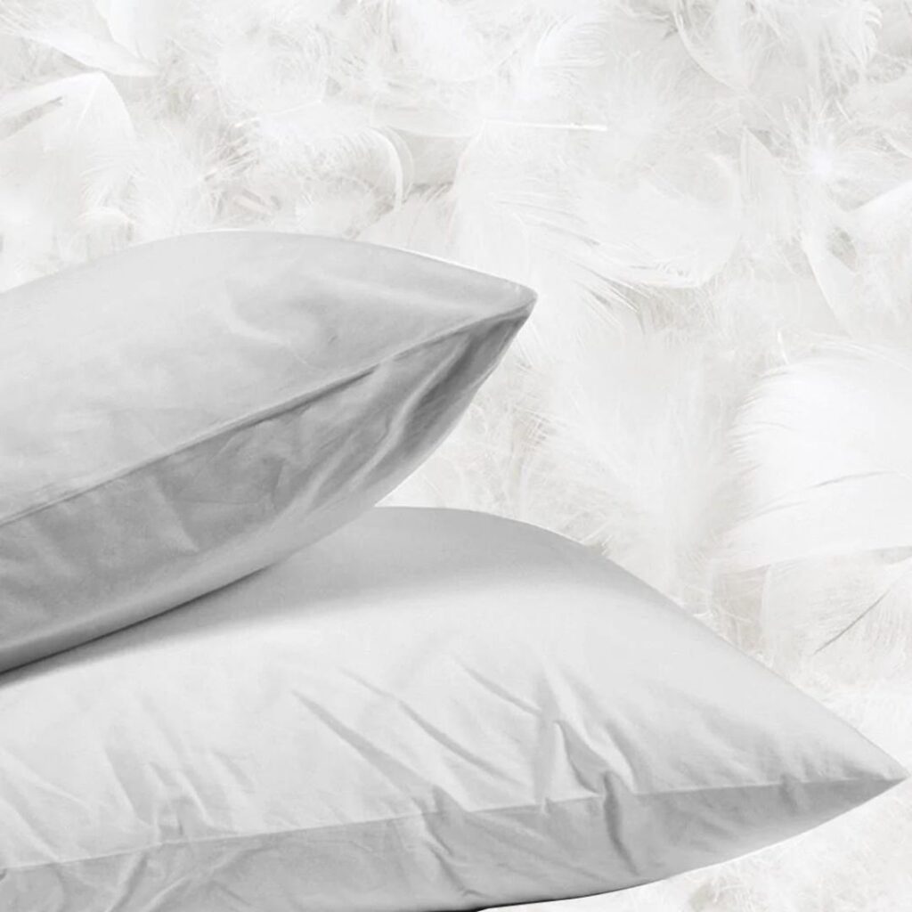 Kaz Tüyü Yastık Boyun Ağrısına İyi Gelir Mi?