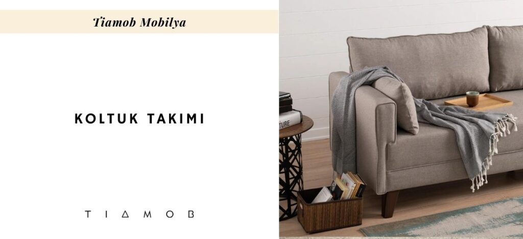 Evde Kedi Tüyü Nasıl Temizlenir?