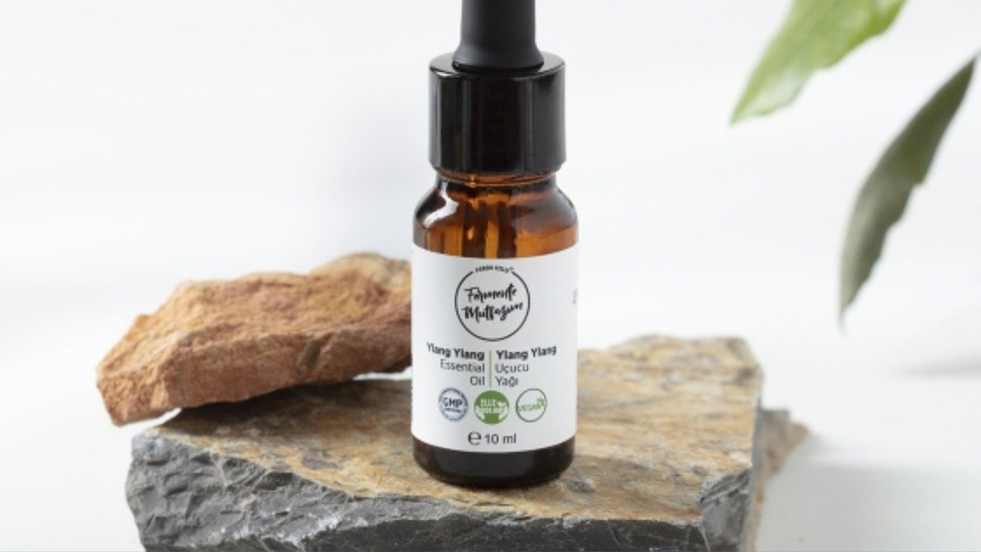 Ylang Ylang Yağı Faydaları Nelerdir?