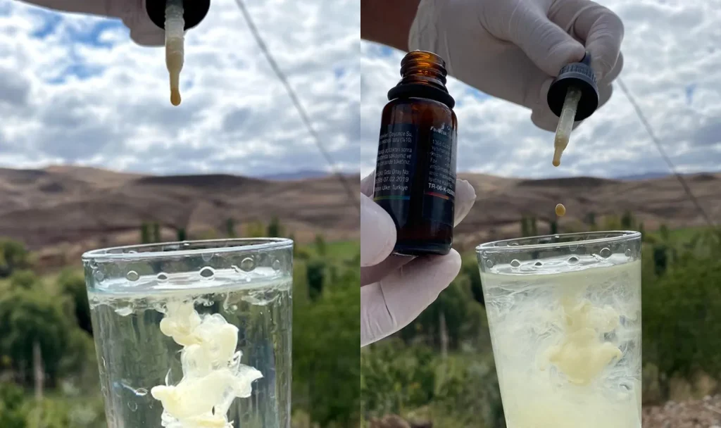 Propolis Nedir?
