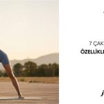 7 Çakra Nedir?